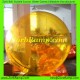 Zorbing Balls for Sale