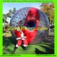 Zorb Ball Algeria