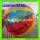 Water Walking Ball Cameroon