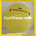 CWB03 Full Colour Water Ball