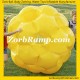 GB02 Giga Ball Zorbing