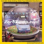 15 Inflatable Show Ball with Picture